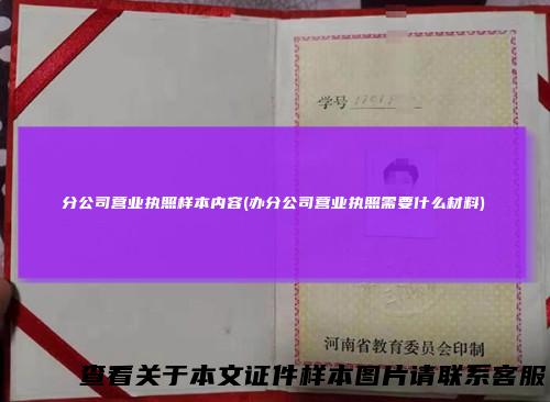 分公司营业执照样本内容(办分公司营业执照需要什么材料)