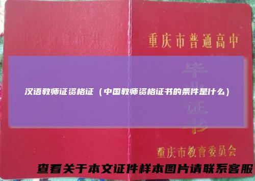 汉语教师证资格证（中国教师资格证书的条件是什么）