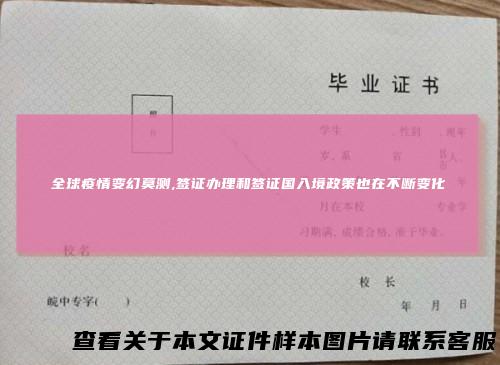 全球疫情变幻莫测,签证办理和签证国入境政策也在不断变化