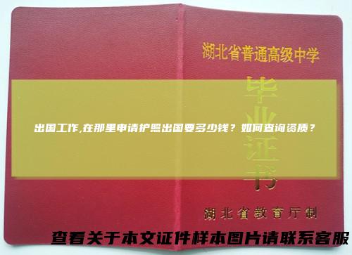 出国工作,在那里申请护照出国要多少钱?如何查询资质?