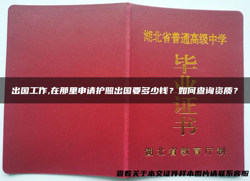 出国工作,在那里申请护照出国要多少钱？如何查询资质？