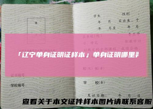 「辽宁单身证明证样本」单身证明哪里弄