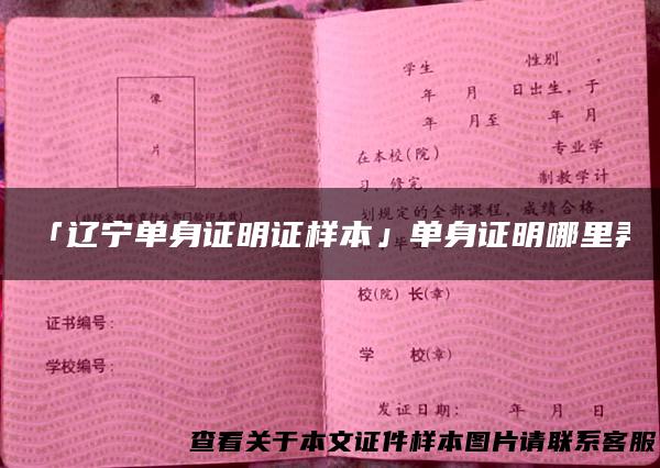「辽宁单身证明证样本」单身证明哪里弄
