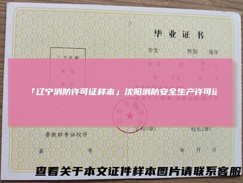 「辽宁消防许可证样本」沈阳消防安全生产许可证