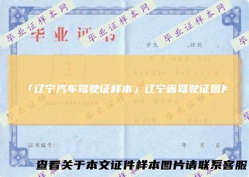 「辽宁汽车驾驶证样本」辽宁省驾驶证图片
