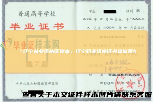 「辽宁从业资格证样本」辽宁职业资格证书查询系统