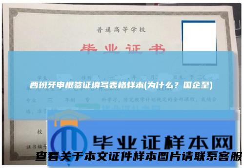 西班牙申根签证填写表格样本(为什么？国企至)