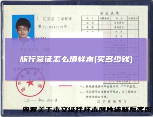 旅行签证怎么填样本(买多少钱)