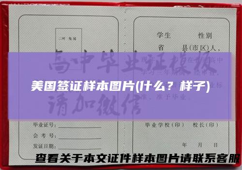 美国签证样本图片(什么？样子)