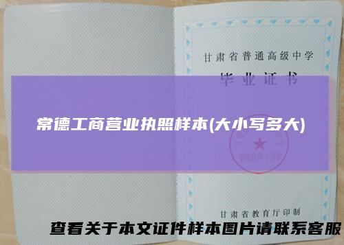 常德工商营业执照样本(大小写多大)