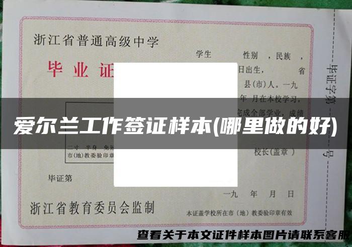 爱尔兰工作签证样本(哪里做的好)