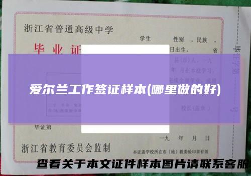 爱尔兰工作签证样本(哪里做的好)