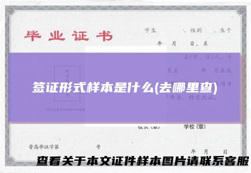 签证形式样本是什么(去哪里查)