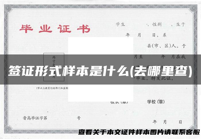 签证形式样本是什么(去哪里查)