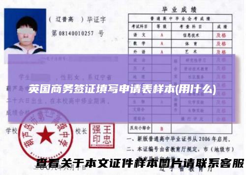 英国商务签证填写申请表样本(用什么)