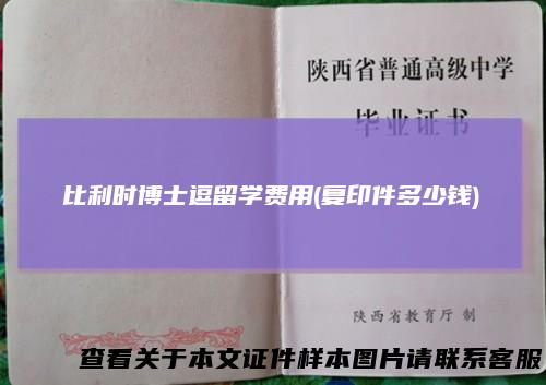 比利时博士逗留学费用(复印件多少钱)