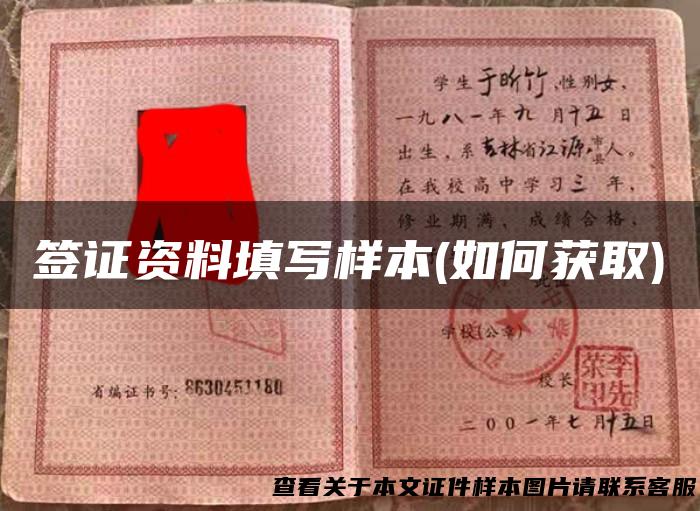 签证资料填写样本(如何获取)