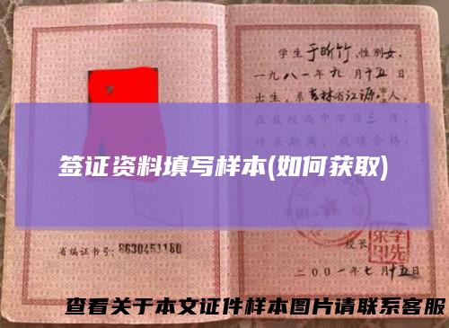 签证资料填写样本(如何获取)