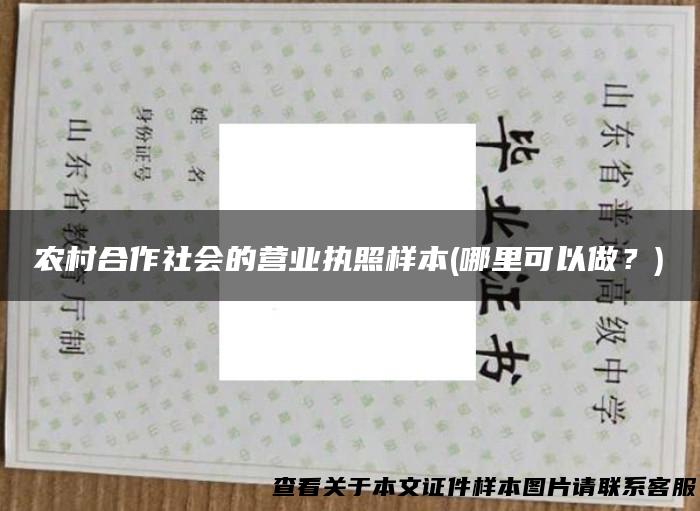 农村合作社会的营业执照样本(哪里可以做？)