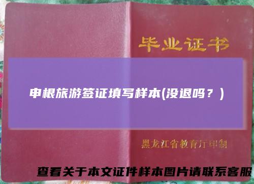 申根旅游签证填写样本(没退吗?)