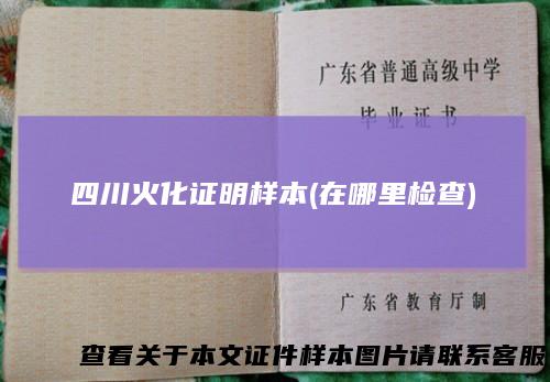 四川火化证明样本(在哪里检查)
