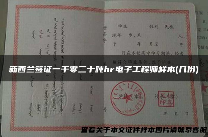 新西兰签证一千零二十吨hr电子工程师样本(几份)