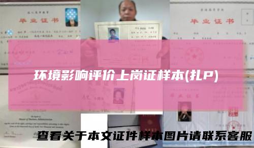 环境影响评价上岗证样本(扎P)