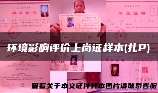 环境影响评价上岗证样本(扎P)