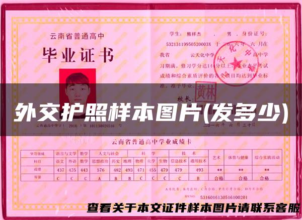 外交护照样本图片(发多少)