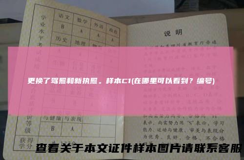 更换了驾照和新执照。样本C1(在哪里可以看到？编号)