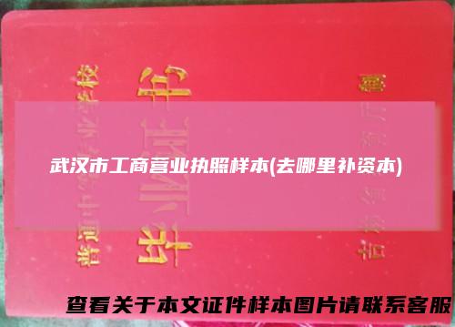 武汉市工商营业执照样本(去哪里补资本)