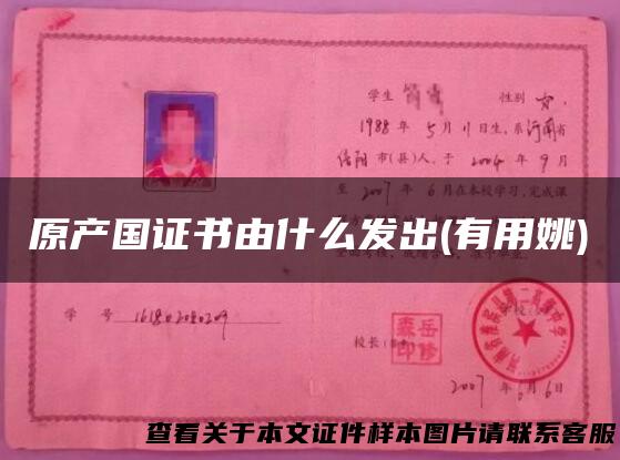 原产国证书由什么发出(有用姚)