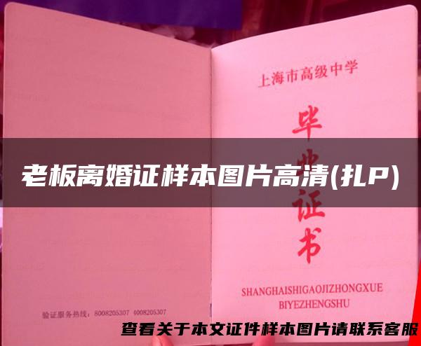 老板离婚证样本图片高清(扎P)