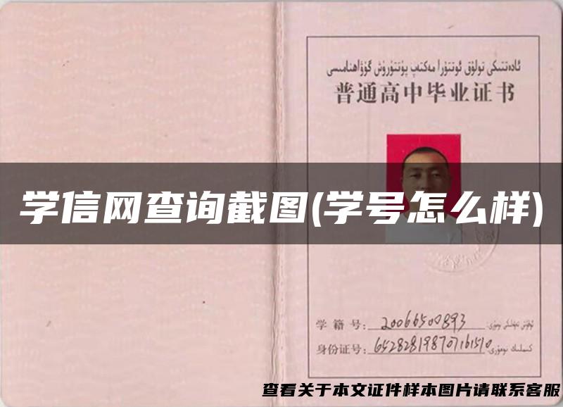 学信网查询截图(学号怎么样)