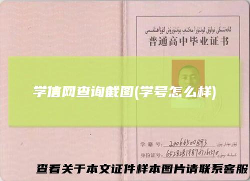 学信网查询截图(学号怎么样)