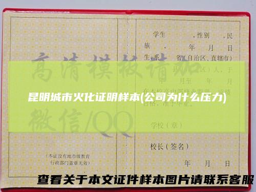 昆明城市火化证明样本(公司为什么压力)