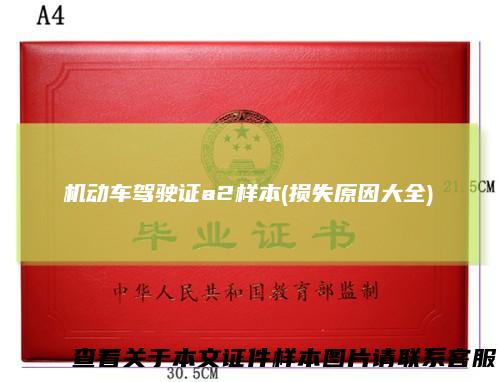 机动车驾驶证a2样本(损失原因大全)