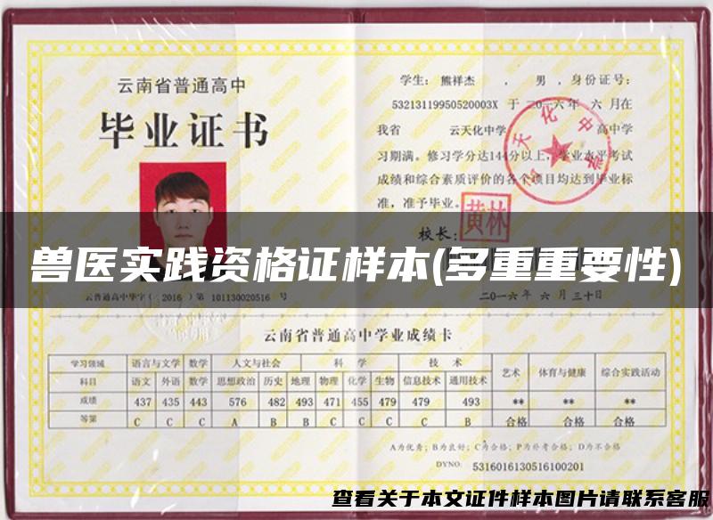 兽医实践资格证样本(多重重要性)