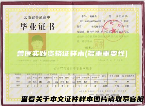 兽医实践资格证样本(多重重要性)