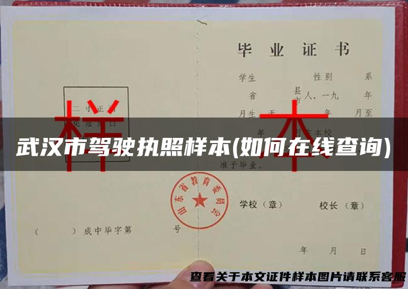 武汉市驾驶执照样本(如何在线查询)