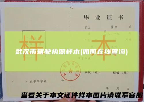 武汉市驾驶执照样本(如何在线查询)