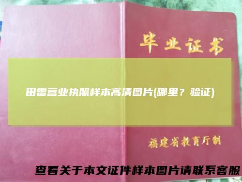田雷营业执照样本高清图片(哪里？验证)