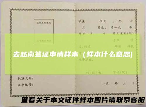 去越南签证申请样本(样本什么意思)