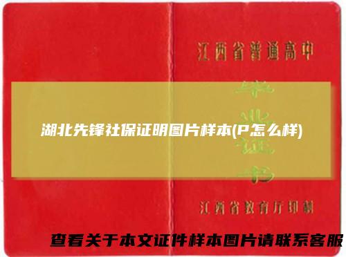 湖北先锋社保证明图片样本(P怎么样)