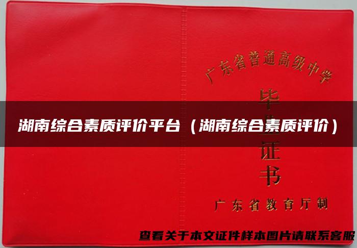 湖南综合素质评价平台（湖南综合素质评价）