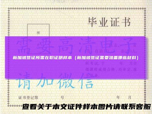 新加坡签证所需在职证明样本（新加坡签证需要准备哪些材料）