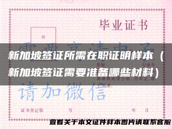 新加坡签证所需在职证明样本（新加坡签证需要准备哪些材料）