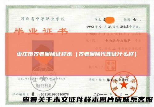 枣庄市养老保险证样本（养老保险代理证什么样）