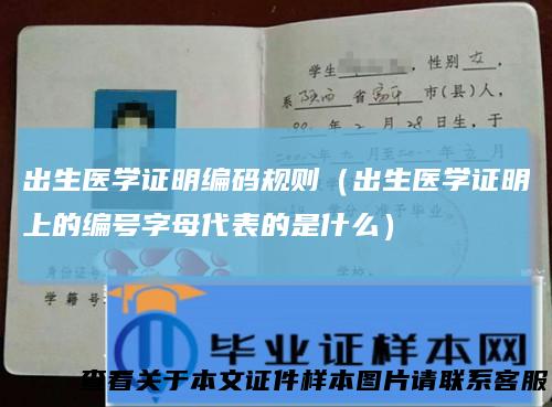 出生医学证明编码规则(出生医学证明上的编号字母代表的是什么)