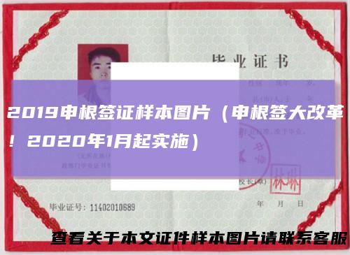 2019申根签证样本图片(申根签大改革!2020年1月起实施)